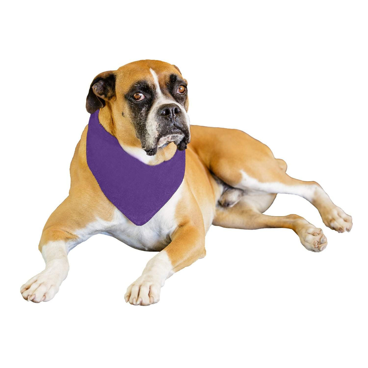 Qraftsy Solid Polyester 12 Pack Dog Neckerchief Triangle Bibs  - Extra Large