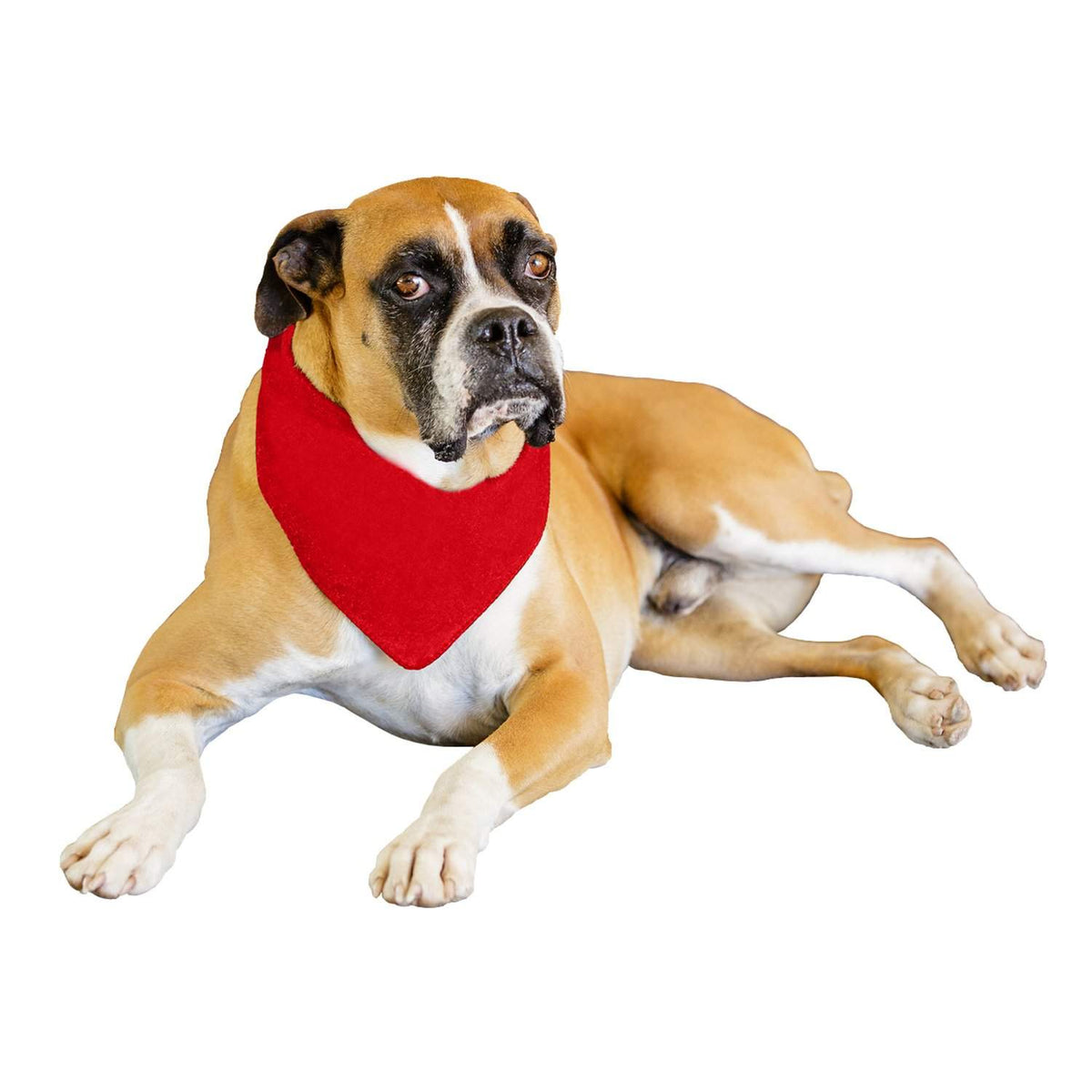 Qraftsy Solid Polyester 12 Pack Dog Neckerchief Triangle Bibs  - Extra Large