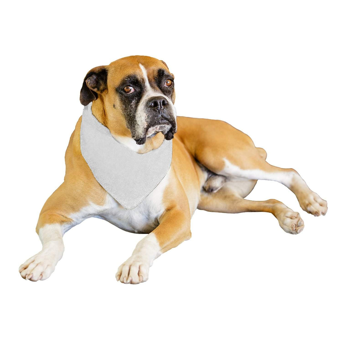 Qraftsy Solid Polyester 12 Pack Dog Neckerchief Triangle Bibs  - Extra Large