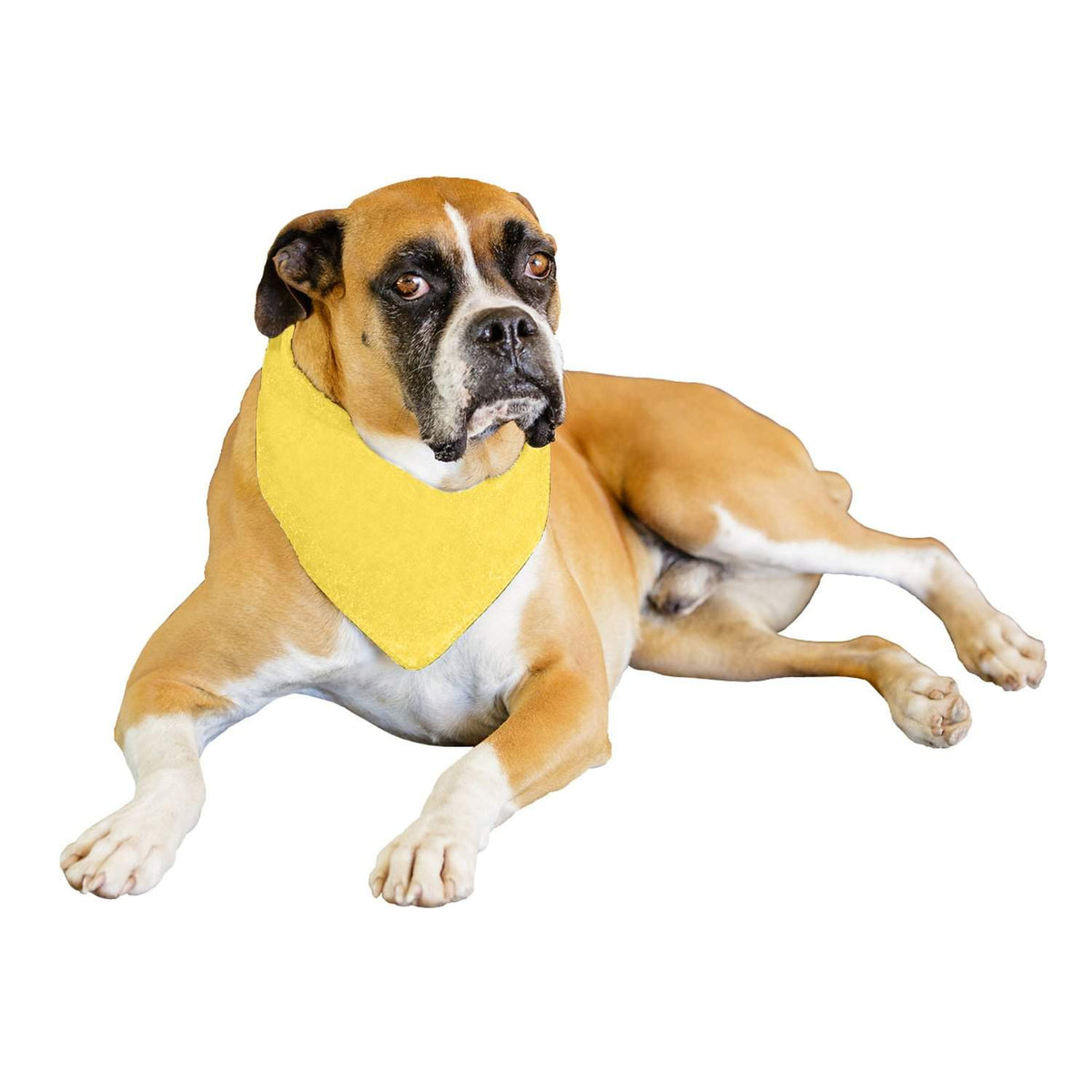 Qraftsy Solid Polyester 12 Pack Dog Neckerchief Triangle Bibs  - Extra Large
