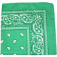 18 Pack 22 Inch Regular Size Polyester Paisley Bandanas