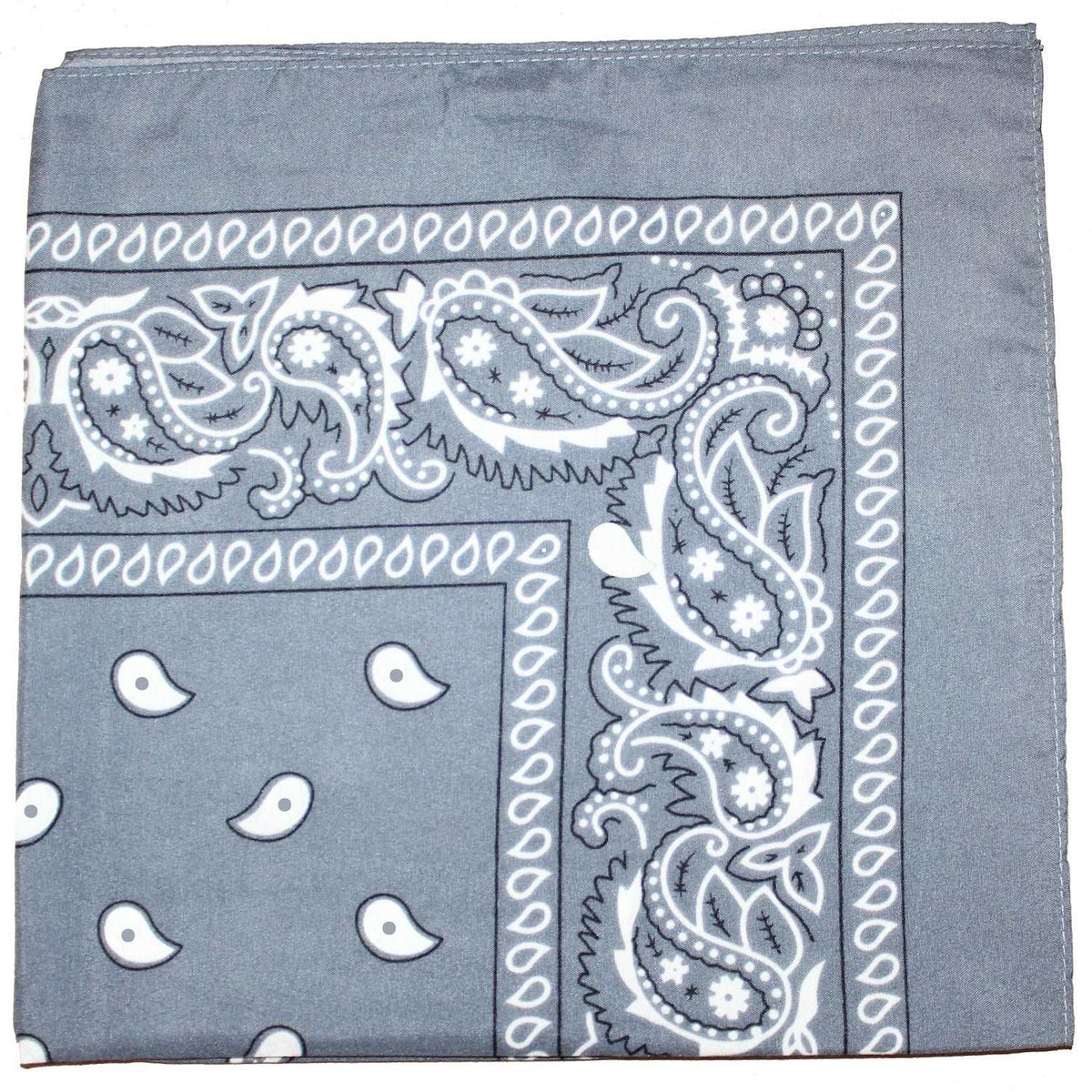 18 Pack 22 Inch Regular Size Polyester Paisley Bandanas