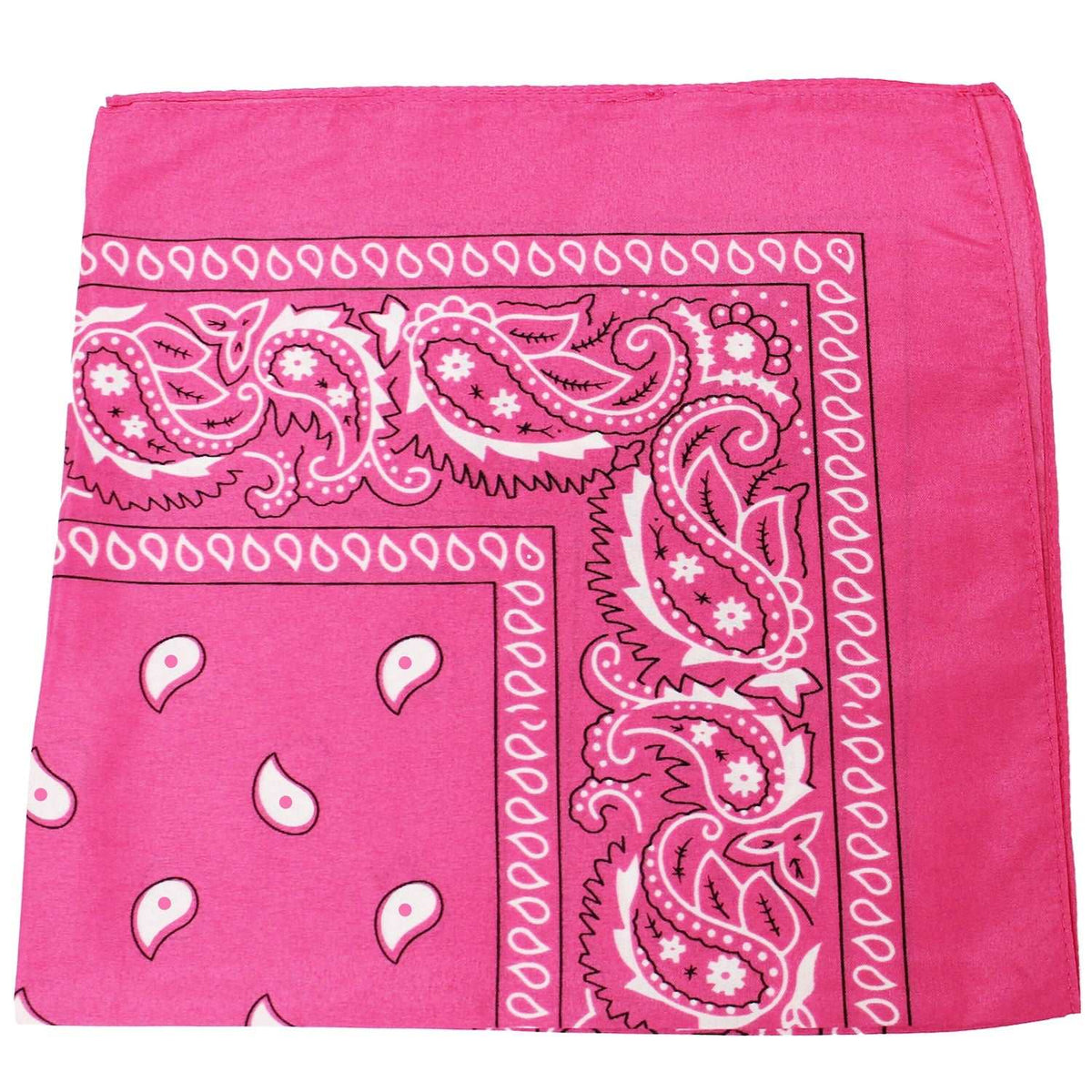 18 Pack 22 Inch Regular Size Polyester Paisley Bandanas
