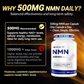 NMN 500mg – 99.9% Pure NMN Supplement, Boost NAD+ Levels, Cellular Energy & Healthy Aging Support, 60 Capsules, Third-Party Tested, NSF cGMP, Made in USA