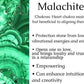 Malachite Picture Jasper Stretch Bracelet Natural Gem