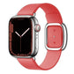 Elegant Leather Strap