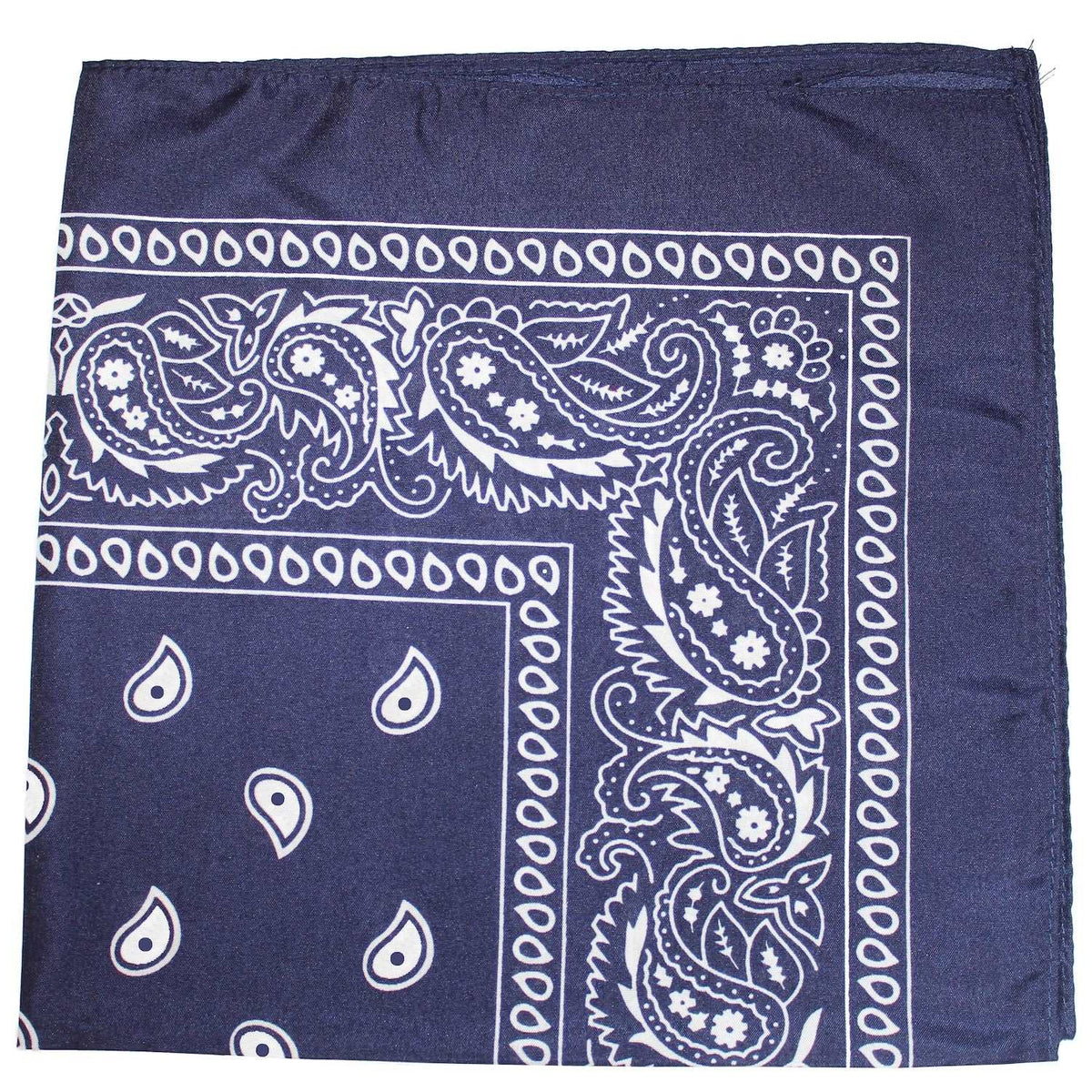 18 Pack 22 Inch Regular Size Polyester Paisley Bandanas