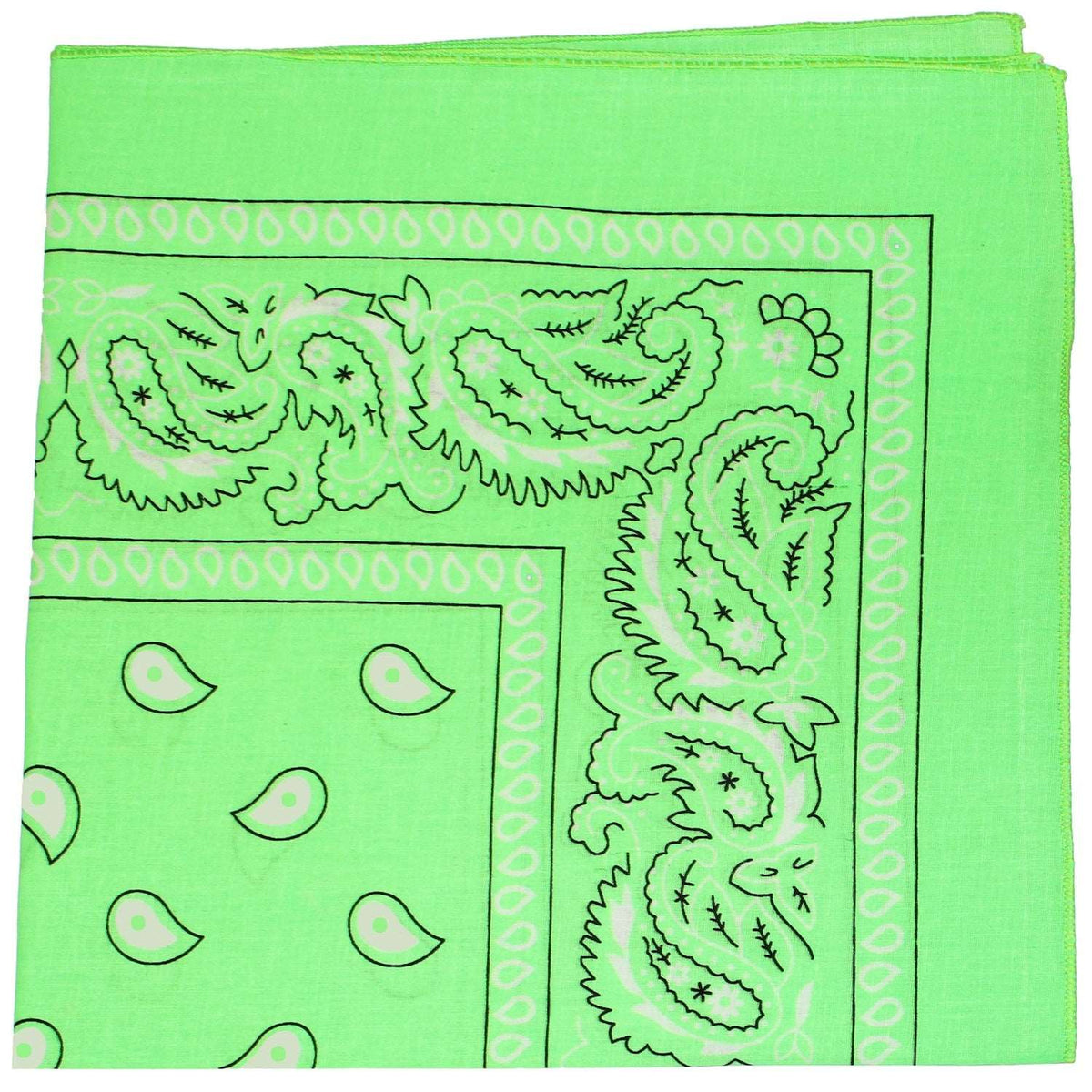 18 Pack 22 Inch Regular Size Polyester Paisley Bandanas