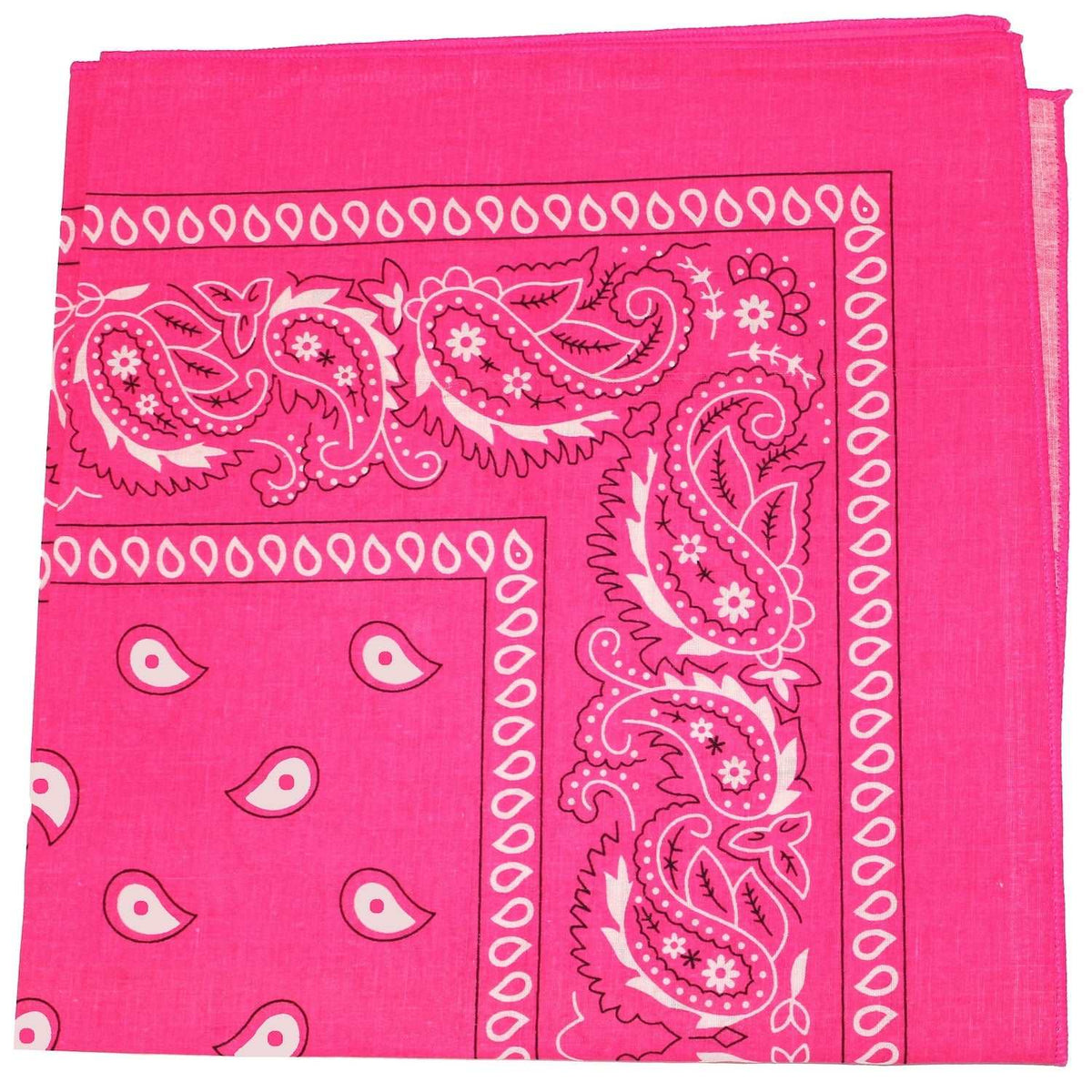 18 Pack 22 Inch Regular Size Polyester Paisley Bandanas