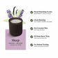 Sprig by Kohler Sleep Aromatherapy Candle with Lavender and Vanilla - 8 oz