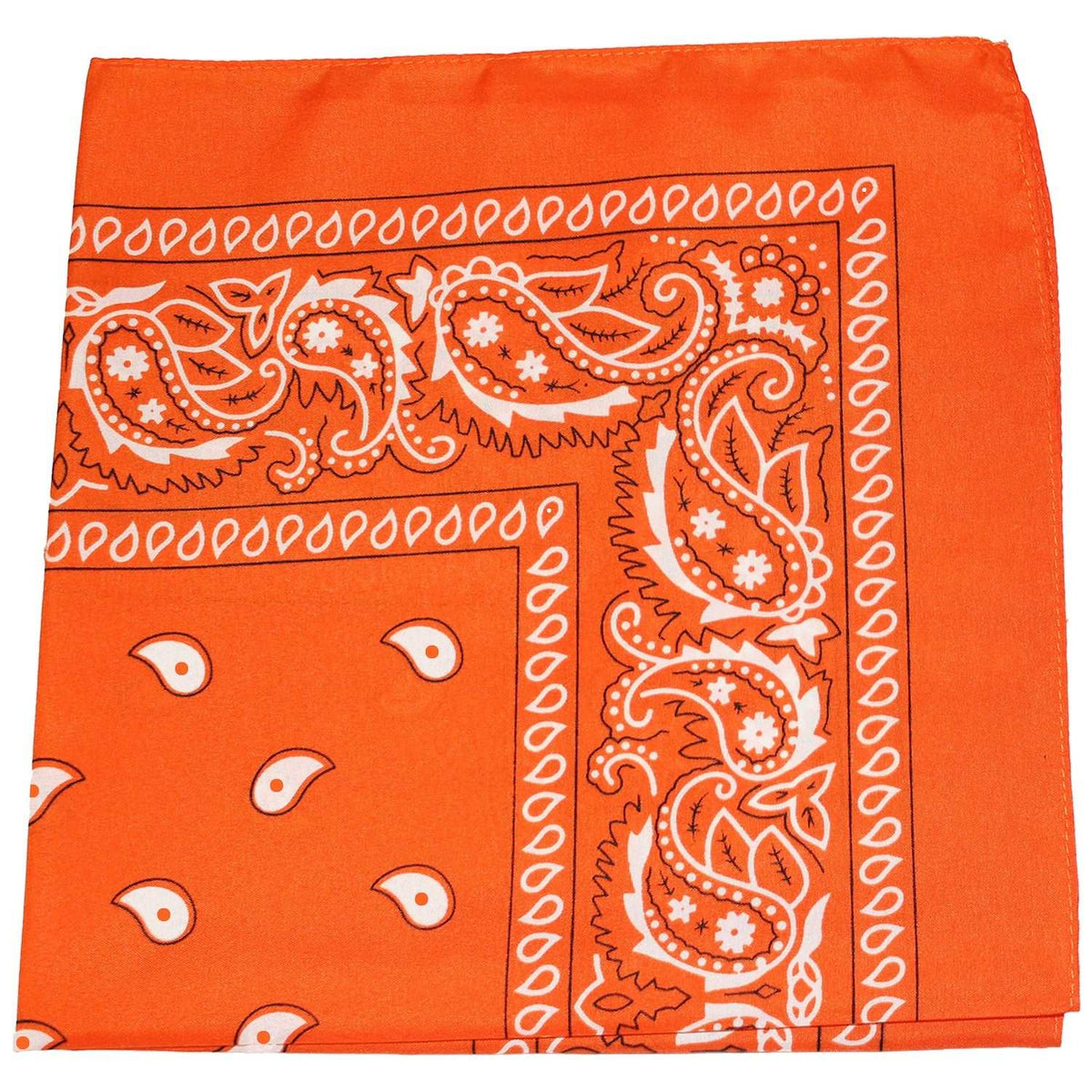 18 Pack 22 Inch Regular Size Polyester Paisley Bandanas
