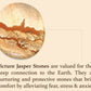 Malachite Picture Jasper Stretch Bracelet Natural Gem