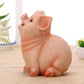 Pink Pig Piggy Bank Plastic Money Box