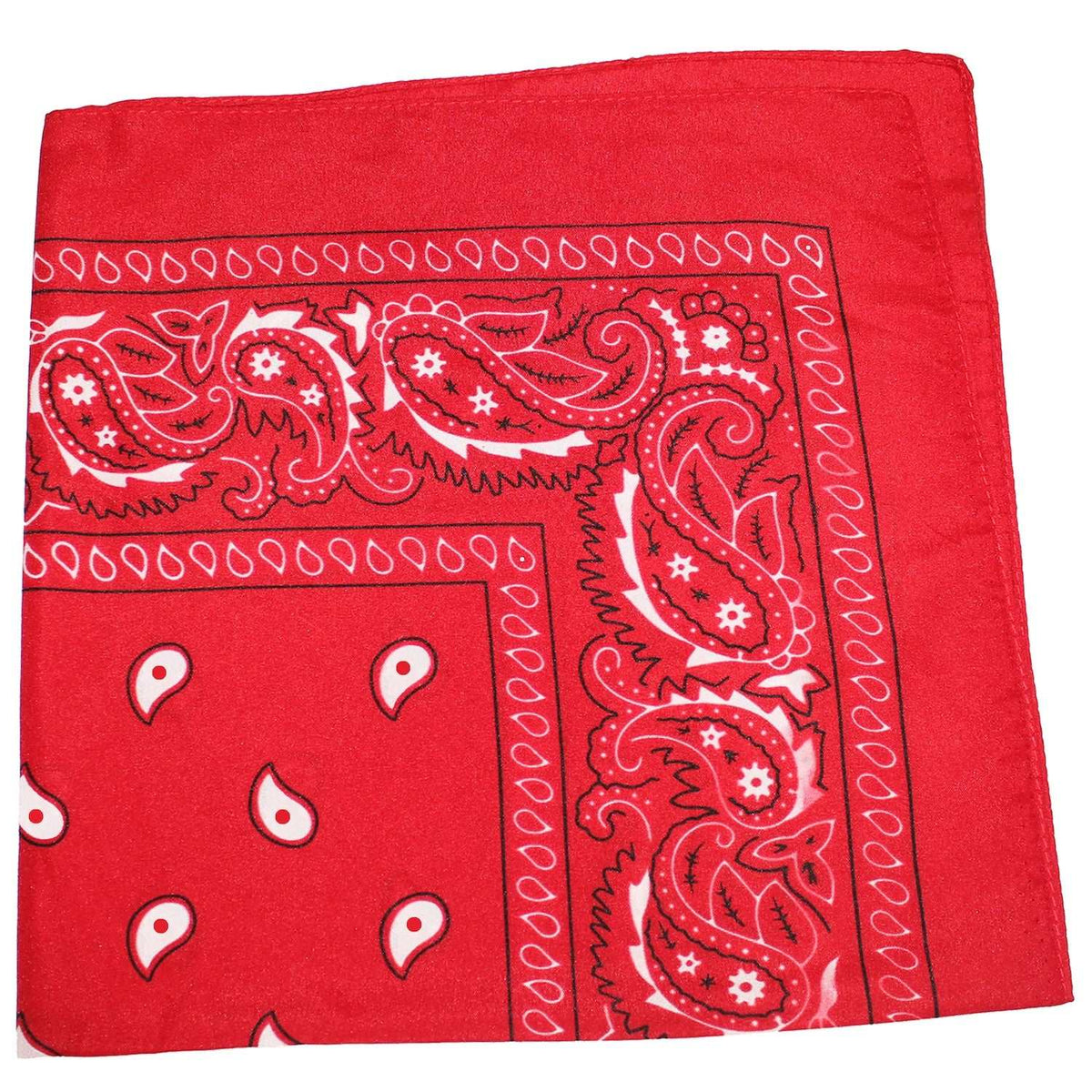 18 Pack 22 Inch Regular Size Polyester Paisley Bandanas
