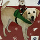 BBBMex Ride Along Santa Costume For Medium Size Dogs