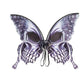 Silver Skull Halloween Butterfly Wings