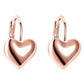 Sleek Heart Shaped Leverback Earrings