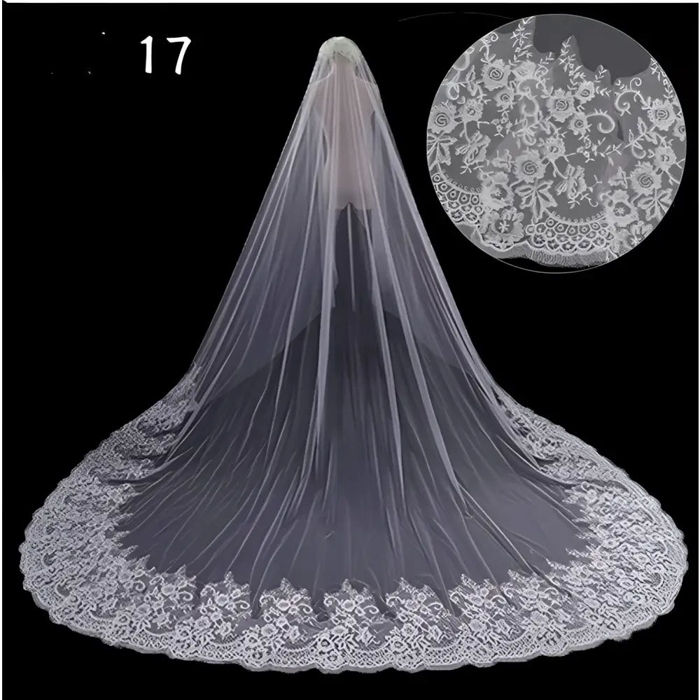 Sparkling Wide Style Bridal Veil