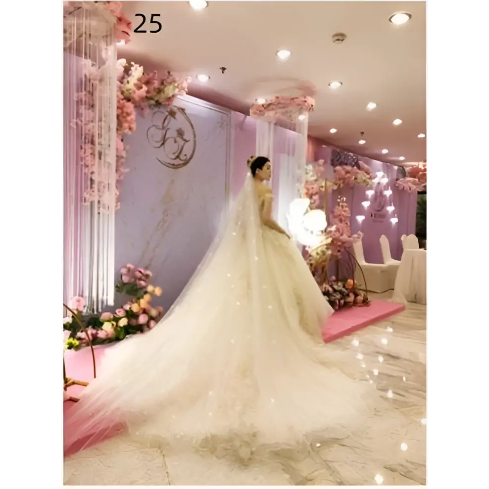 Sparkling Wide Style Bridal Veil