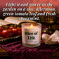 Slice of Life Candle