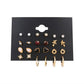Stylish Earrings Set