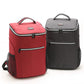Double Shoulder Insulated Backpack