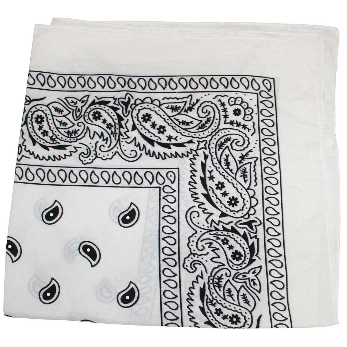 18 Pack 22 Inch Regular Size Polyester Paisley Bandanas